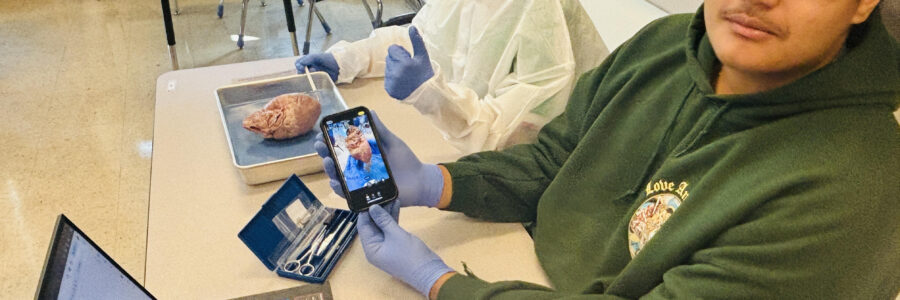 Special Grant Highlight